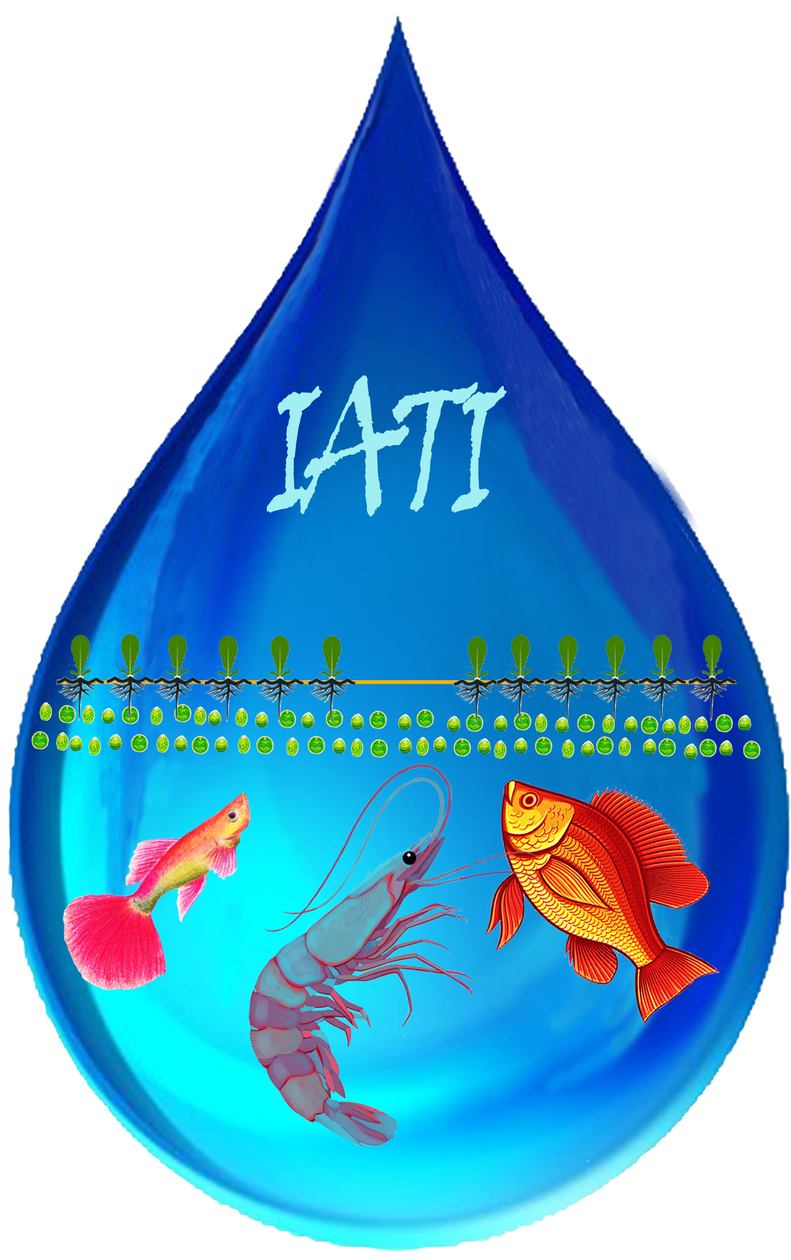 Innovative Aquaculture